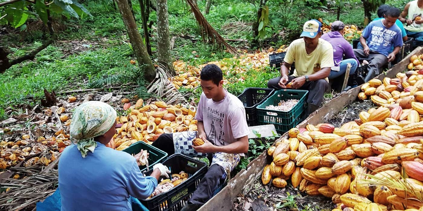 lalfor 80 hektar nutzwald fazenda vera cruz 02