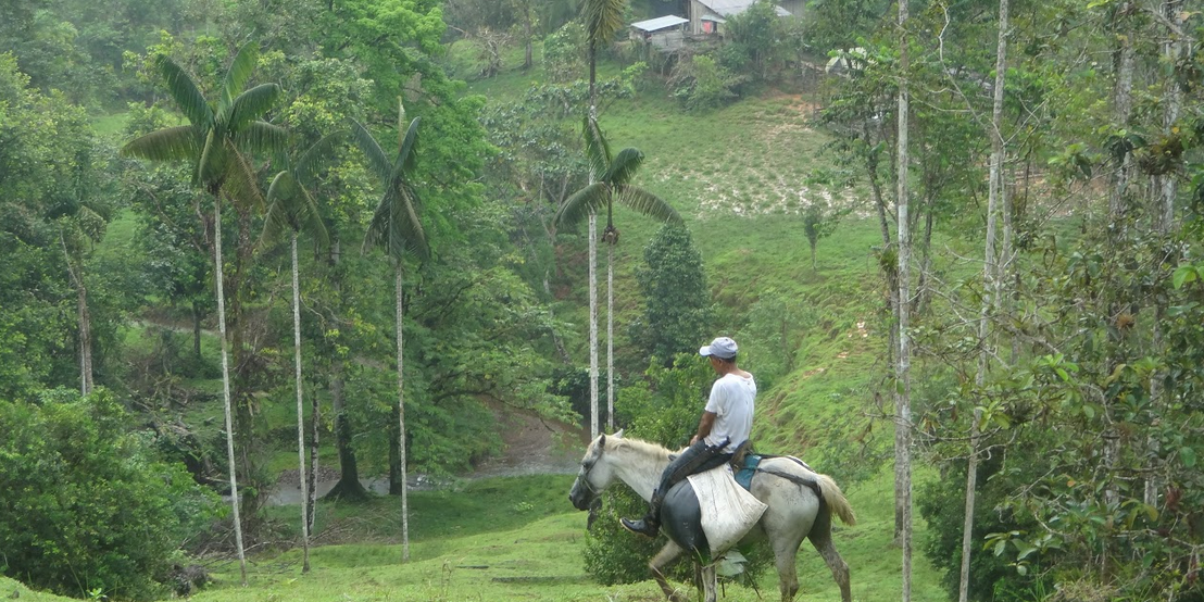 laflor reisebericht tesoro escondido ecuador 05