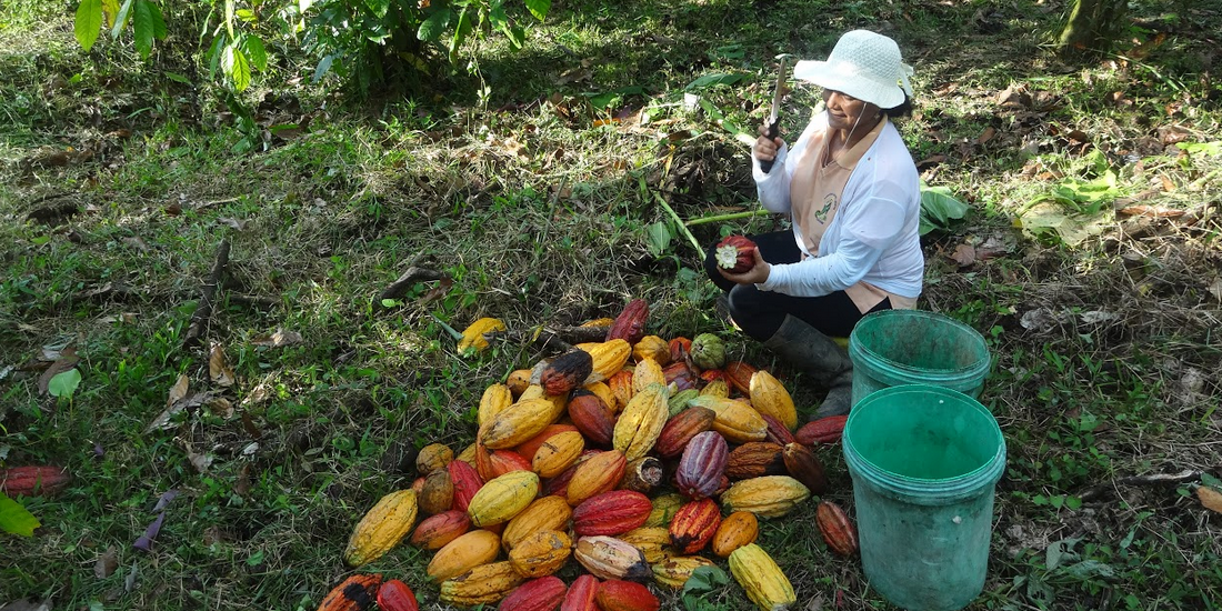laflor reisebericht tesoro escondido ecuador 11