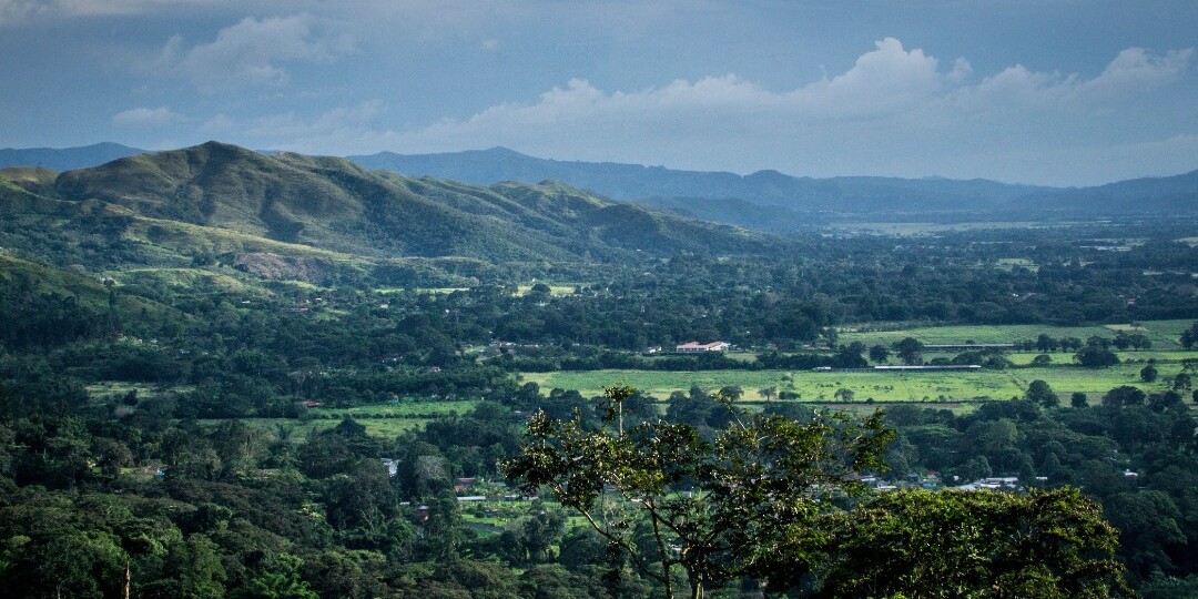 laflor-venezuela-san-cayetano-01